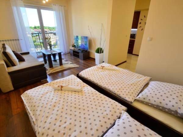扎托尔Apartament Antonio公寓 外观 照片